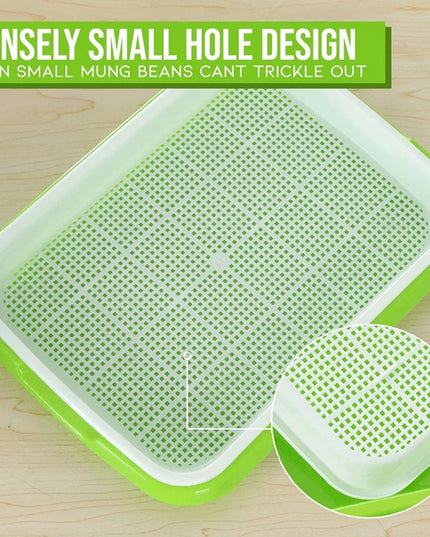 Hydroponic Bean Sprout Germination Tray with Lid - Plastic Seedling Pot