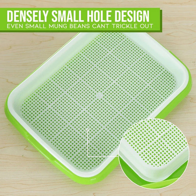 Hydroponic Bean Sprout Germination Tray with Lid - Plastic Seedling Pot