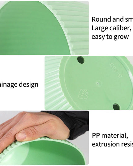 Plastic Flower Pot Succulent Plant Pot with Tray Green Dill Round Double Layer Small Flowerpot Home Office Desktop Decoration