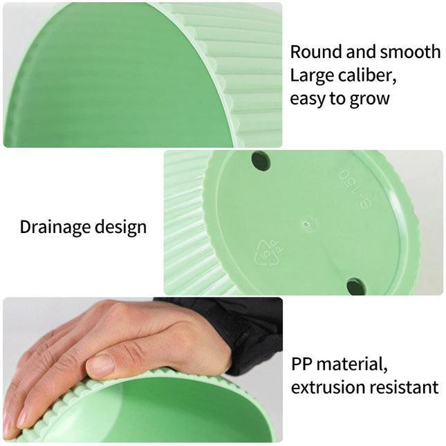 Plastic Flower Pot Succulent Plant Pot with Tray Green Dill Round Double Layer Small Flowerpot Home Office Desktop Decoration