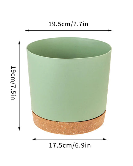Large Indoor Succulent Planter - Circular Plastic Pot with Tray
