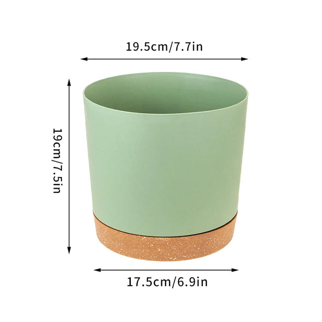 Large Indoor Succulent Planter - Circular Plastic Pot with Tray