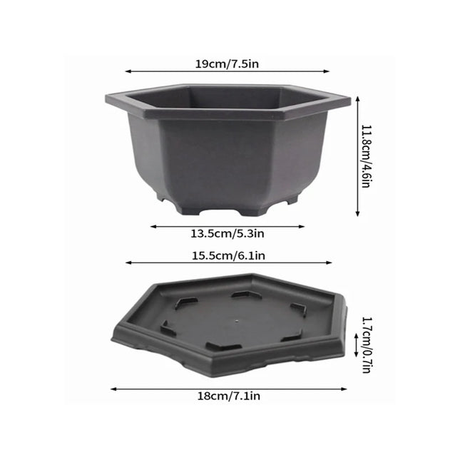 Purple Imitation Pottery Flowerpot - Square, Oval, Hexagonal Planters