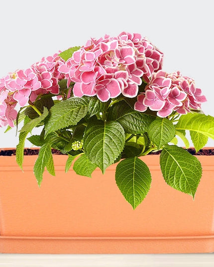 High-quality Gardening Flower Pot Thicken Plastic Planting Pot Balcony Vegetable Flower Pot Rectangular Planting Planters