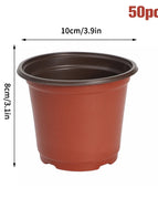 10cm  50pcs