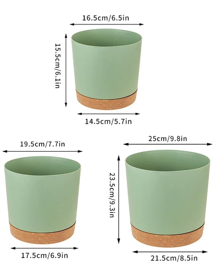 Large Indoor Succulent Planter - Circular Plastic Pot with Tray