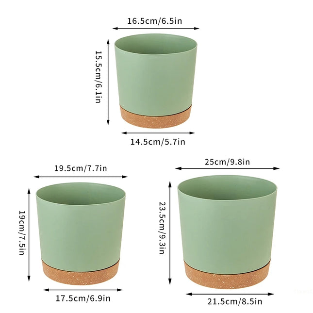Large Indoor Succulent Planter - Circular Plastic Pot with Tray