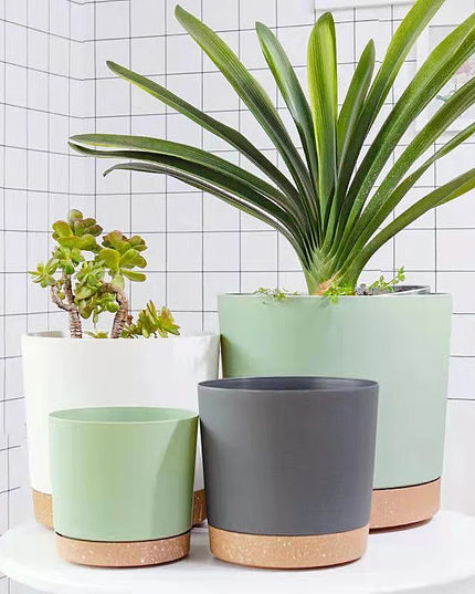 Large Indoor Succulent Planter - Circular Plastic Pot with Tray