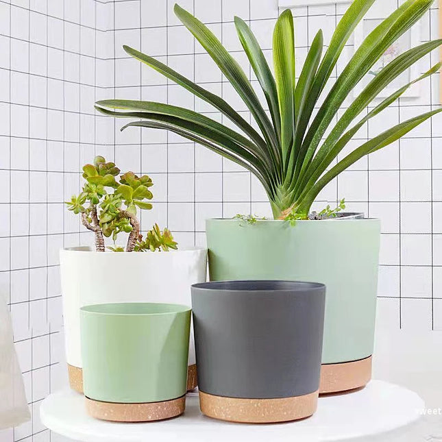 Large Indoor Succulent Planter - Circular Plastic Pot with Tray
