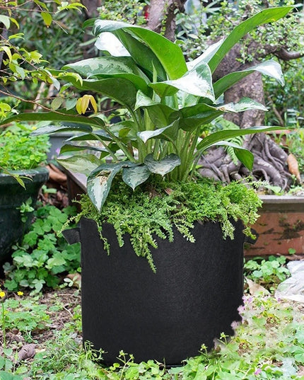5PCS 3-30 Gallons Garden Vegetable Planting Bag Felt Grow Bags Plant Seedling Bag for Potato Tomato Flower Planting Accessories