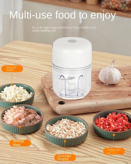 Portable Electric Garlic Chopper - 100 ml Grinder for Veggies