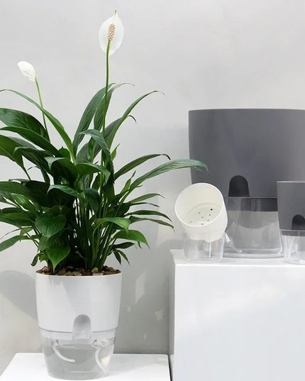 Self Watering Flower Pot Plastic Hydroponics Plants Pot Transparent Double Layer Cotton Rope Watering Succulent Potted Planters