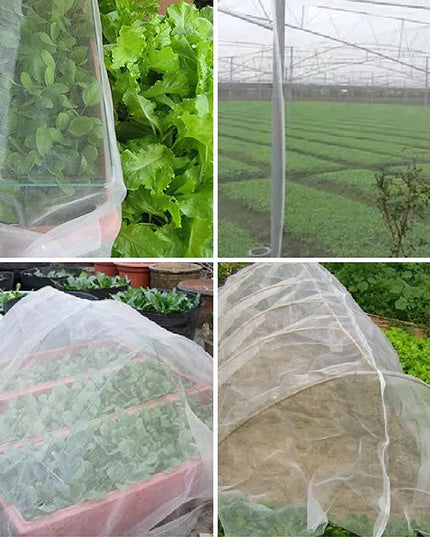 Garden Insect Protection Net - Anti-Bird Mesh for Fruits & Vegetables