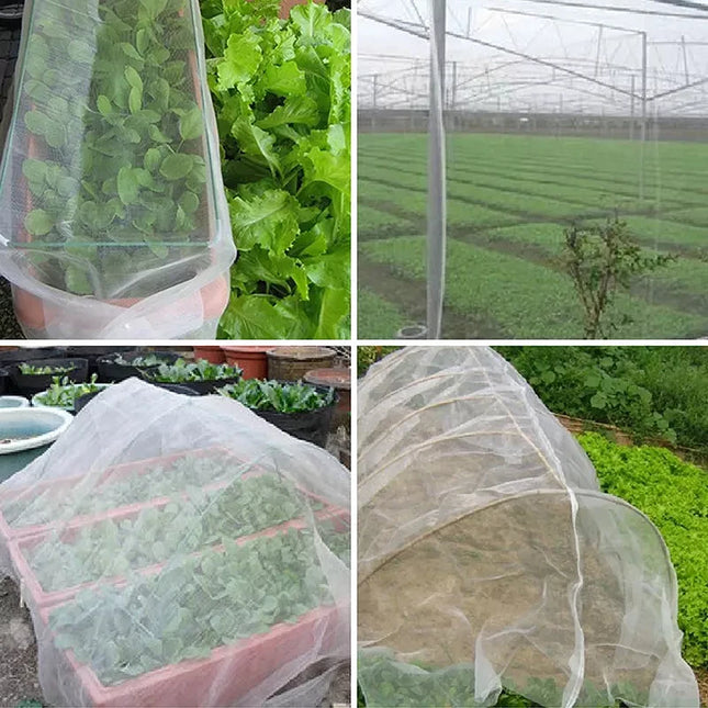 Garden Insect Protection Net - Anti-Bird Mesh for Fruits & Vegetables