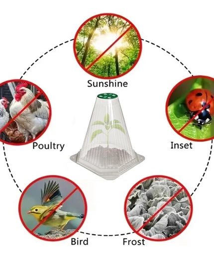 10/20PCS Cone Plant Seedling Protective Cover Nursery Seedling Planting Tent Reusable Anti-Bird Prevents Snail Damage Vegetable