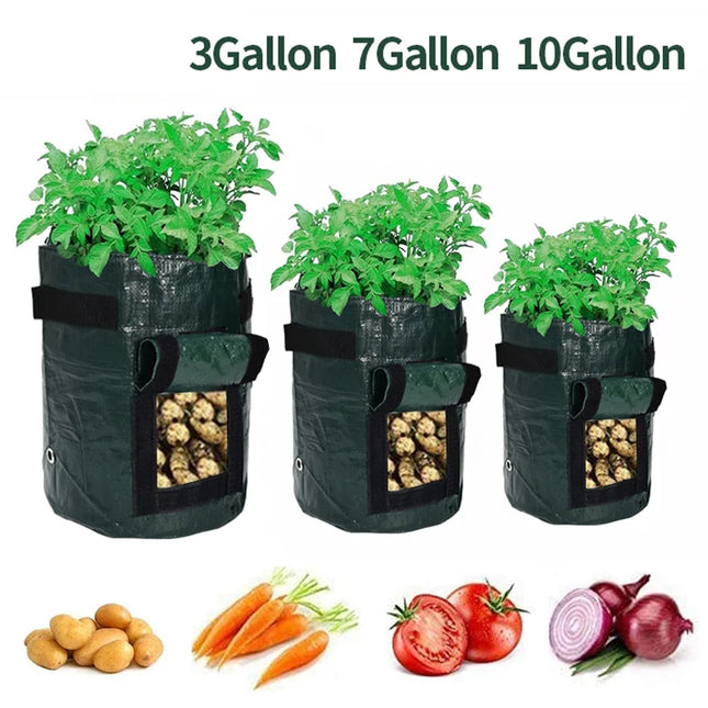 1PC Potato Grow Bag PE Vegetable Onion Planting Bag with Handle Thickened Garden Carrot Taro Peanut Growing Bag Waterproof