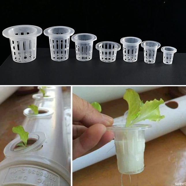 50Pcs Hydroponic Planting Basket Soilless Nursery Basket Vegetable Growing Nursery Cup Garden Hydroponic Vegetable Accessories