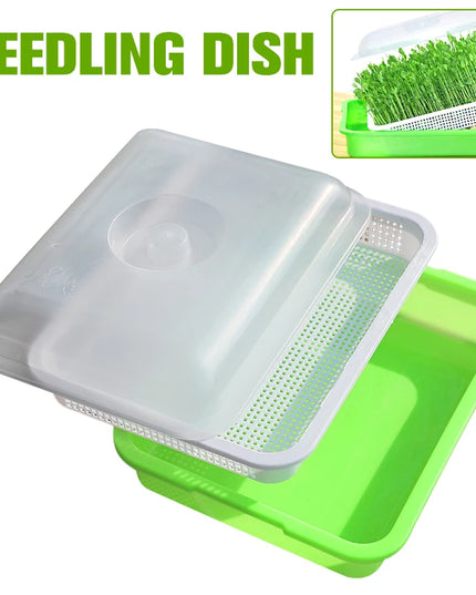 Hydroponic Bean Sprout Germination Tray with Lid - Plastic Seedling Pot