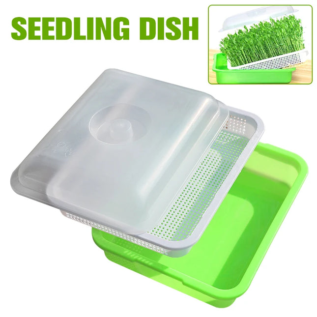 Hydroponic Bean Sprout Germination Tray with Lid - Plastic Seedling Pot