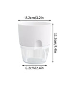 White  S