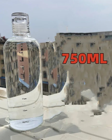 300-1000ml Glass Water Bottle Large Capacity