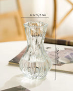 Transparent S