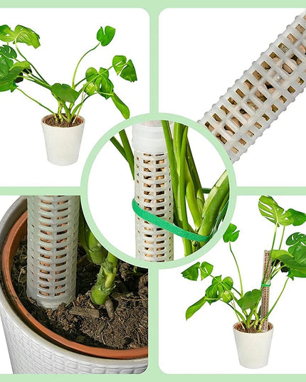 Stackable Plastic Plant Support Stakes - Self-Watering Moss Pole Trellis