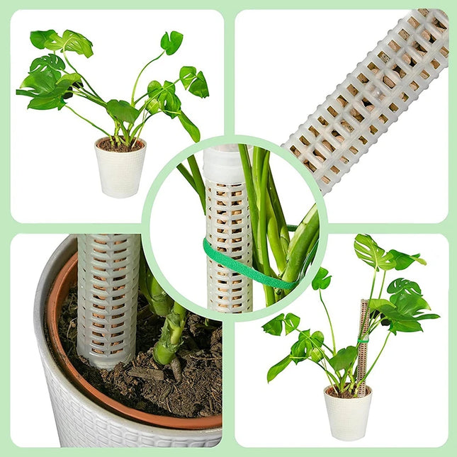 Stackable Plastic Plant Support Stakes - Self-Watering Moss Pole Trellis