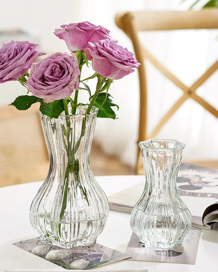 Glass Transparent Flower Vase Retro Hydroponics Plants Pot Clear Flower Container Flowers Arrangement Bottle Table Decoration