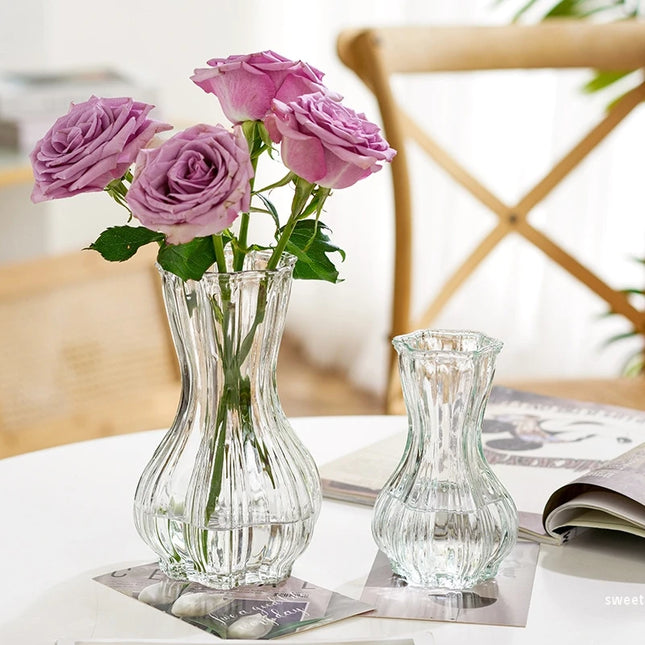 Glass Transparent Flower Vase Retro Hydroponics Plants Pot Clear Flower Container Flowers Arrangement Bottle Table Decoration