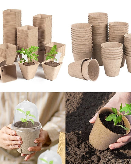 10/20PCS Biodegradable Nursery Seedling Cups - Ideal for Germination