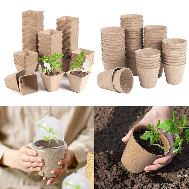 10/20PCS Biodegradable Nursery Seedling Cups - Ideal for Germination