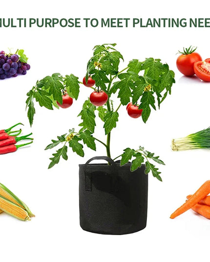 Felt Plant Grow Bags Fabric Grow Pots Strawberry Vegetables Planting Pots Flower Planting Containers Home Garden Tools