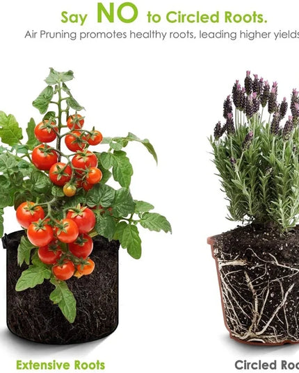 Felt Plant Grow Bags Fabric Grow Pots Strawberry Vegetables Planting Pots Flower Planting Containers Home Garden Tools