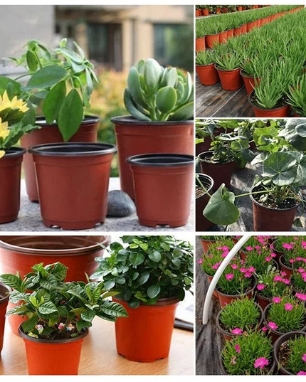 50/20pcs Plastic Flowerpots Simple Nursery Seedling Pot Flowers Seed Breeding Planters Container Box Garden Supplies Tool