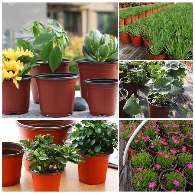 50/20pcs Plastic Flowerpots Simple Nursery Seedling Pot Flowers Seed Breeding Planters Container Box Garden Supplies Tool