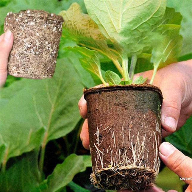 10/20PCS Biodegradable Nursery Seedling Cups - Ideal for Germination