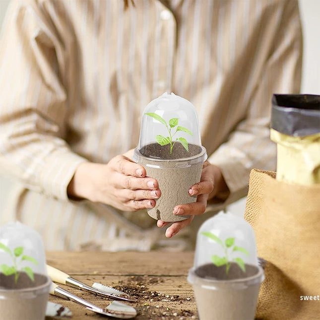 10/20PCS Biodegradable Nursery Seedling Cups - Ideal for Germination