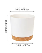 White-6.5in