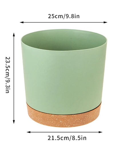 Large Indoor Succulent Planter - Circular Plastic Pot with Tray