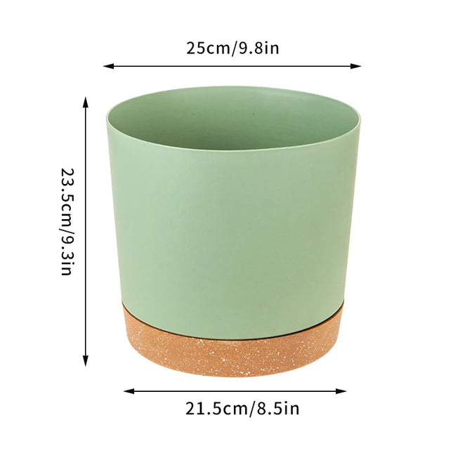 Large Indoor Succulent Planter - Circular Plastic Pot with Tray