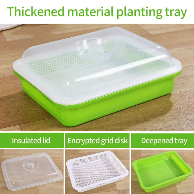 Hydroponic Bean Sprout Germination Tray with Lid - Plastic Seedling Pot