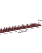 Brown-1PC(No box)