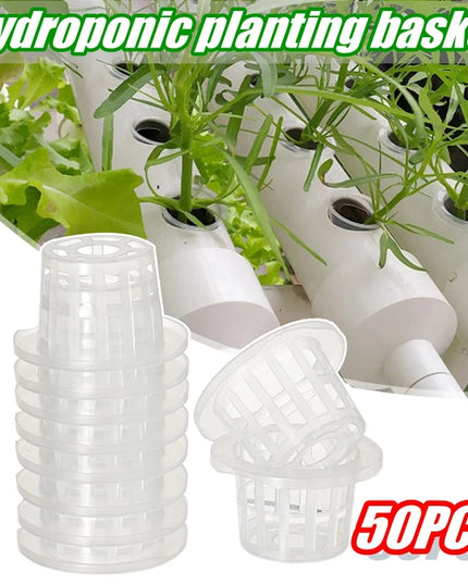 50Pcs Hydroponic Planting Basket Soilless Nursery Basket Vegetable Growing Nursery Cup Garden Hydroponic Vegetable Accessories