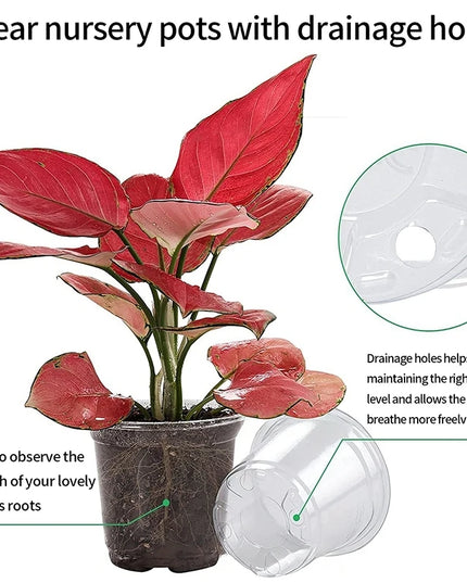 Transparent Flowerpot Nursery Pots - Thickened Plastic Planters, Drainage Hole