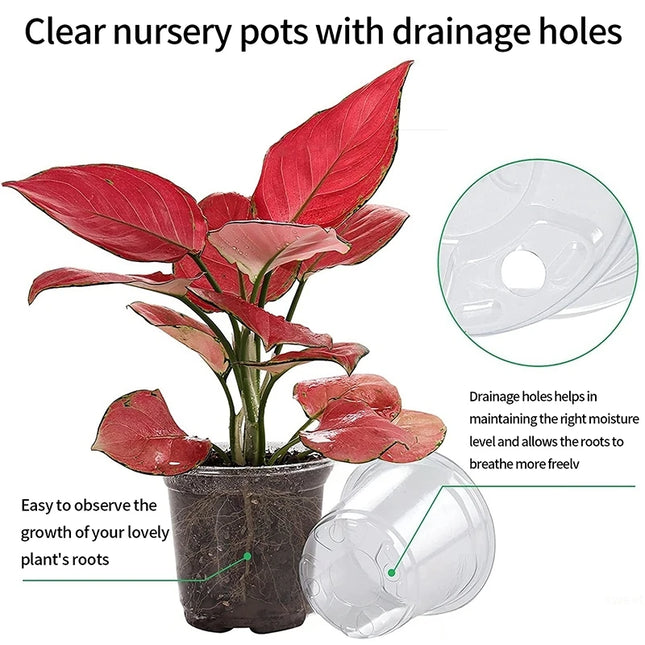 Transparent Flowerpot Nursery Pots - Thickened Plastic Planters, Drainage Hole