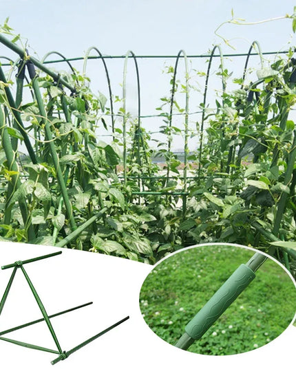 40cm Plant Stakes for Support - Garden Pillars for Climbing Vines & Tomatoes