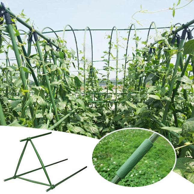 40cm Plant Stakes for Support - Garden Pillars for Climbing Vines & Tomatoes