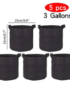 3Gallons  25x22cm