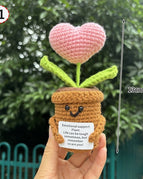 Heart-Pink